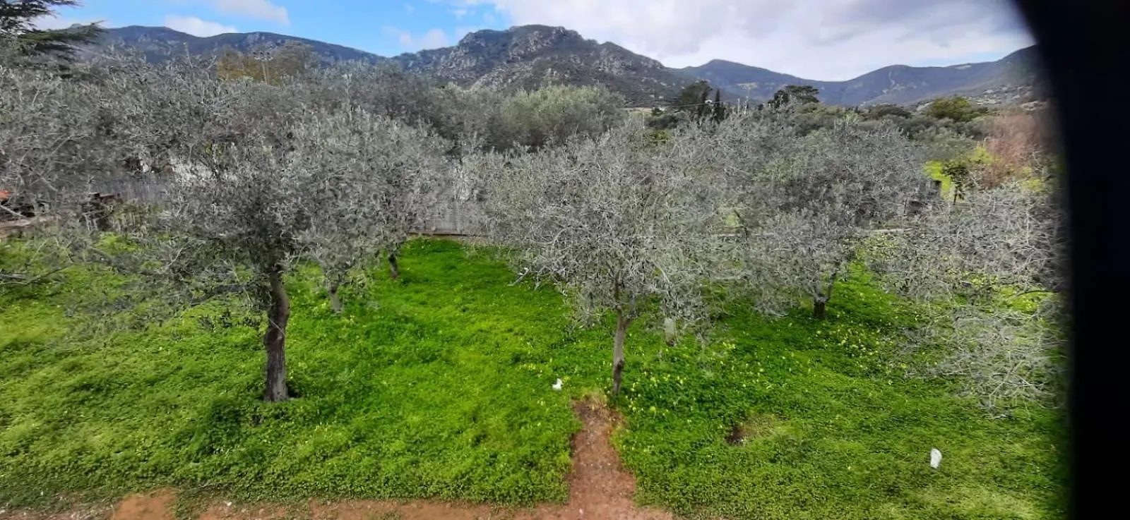 Casa Vacanza Le Bleu Et Le Vert A 180 Mt Dal Mare Tertenìa